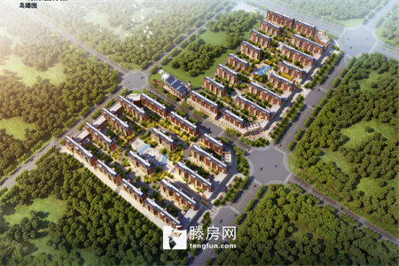 蜀南甲地顶跃，五室带花园带菜地，诚意出售